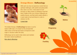 Orange Bloom home page